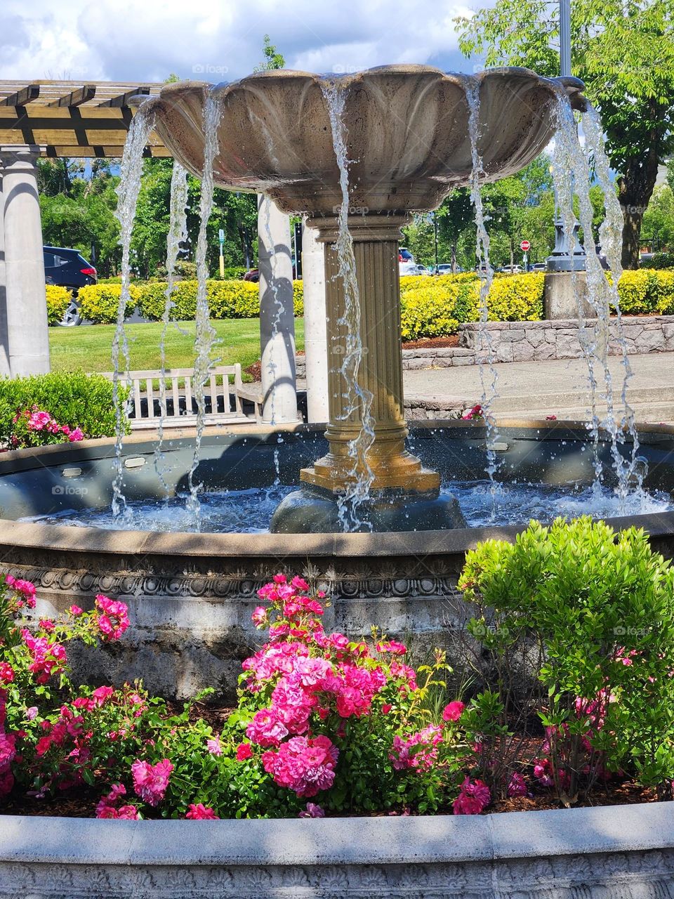 serene water fountain and pink flowers in suburban shopping center