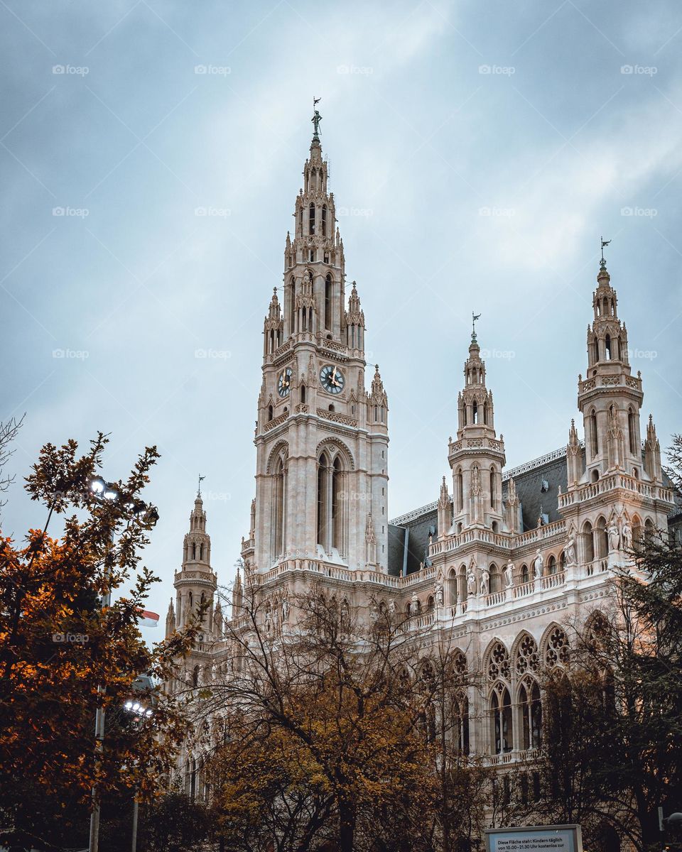 Vienna townhall