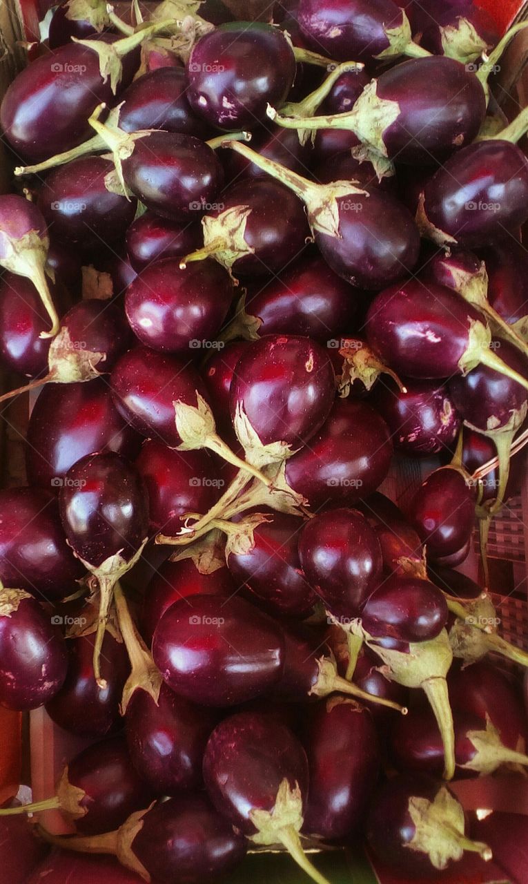 Abundence of fresh bright colorful small
eggplant in market in sunny day of 
summer