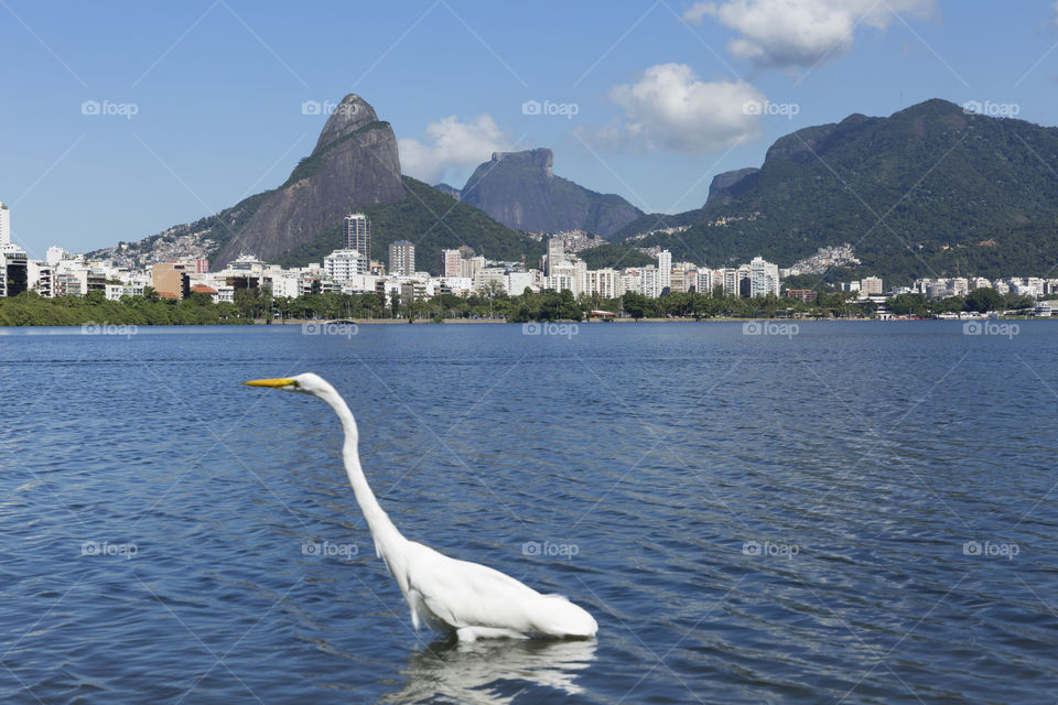 Rodrigo de Freitas Lagoon in Rio de Janeiro Brazil.