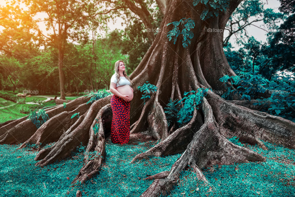 A árvore que abraça