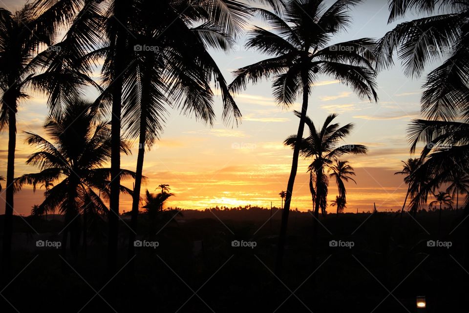 Golden beach sunset in Brazil