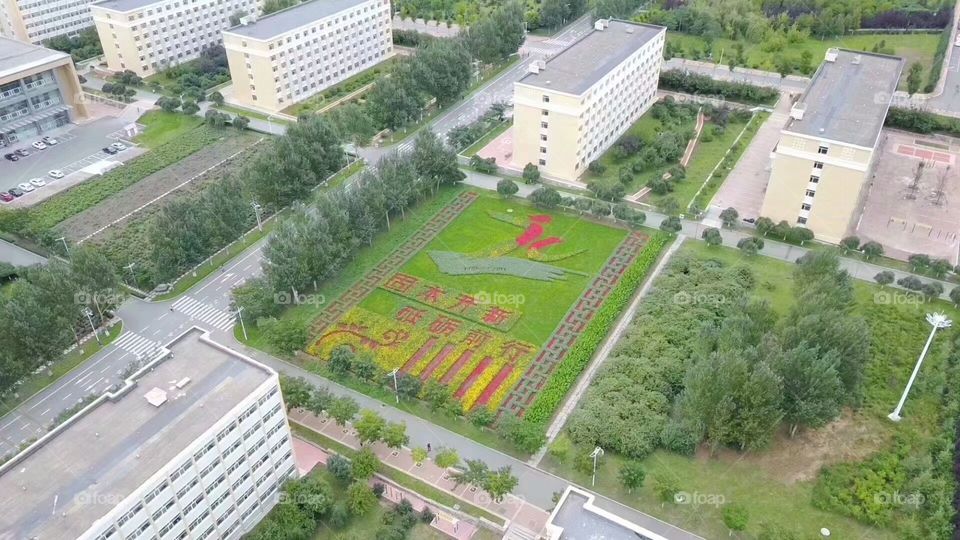 modern architectural design