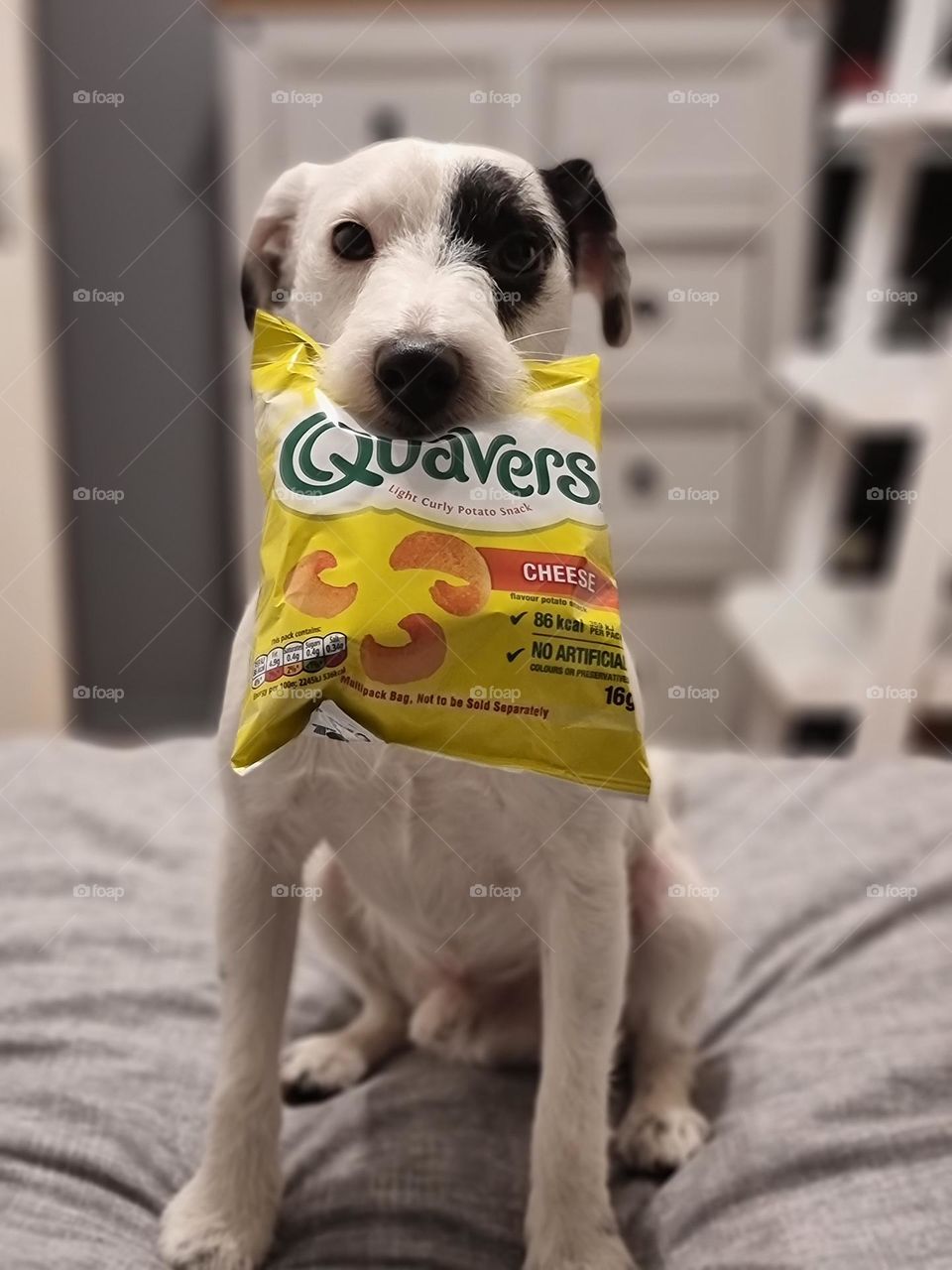 Quavers Snacks