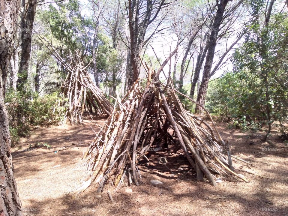 Editors' Choice - Photo of the Week