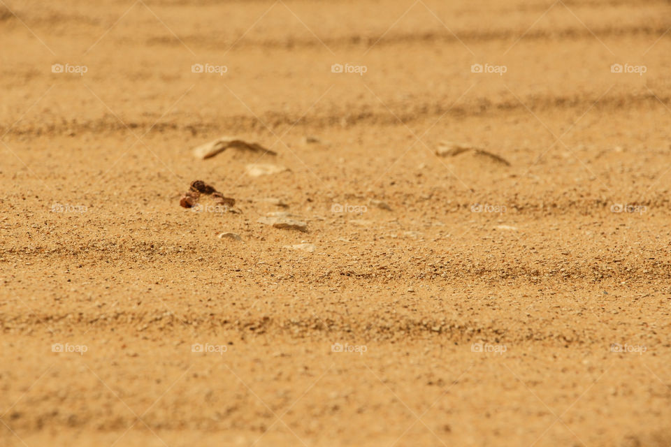 Full frame shot of sand