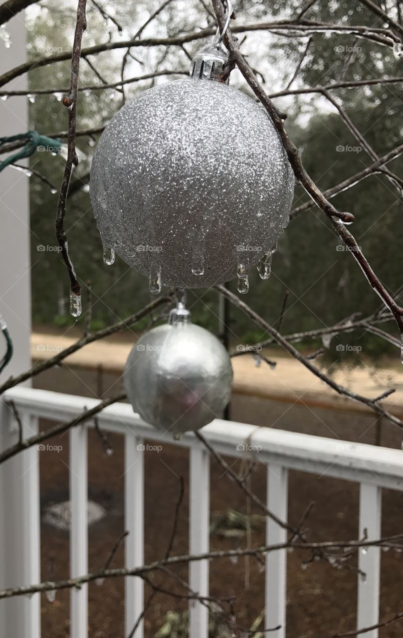 Silver cold drop, amazing winter! 