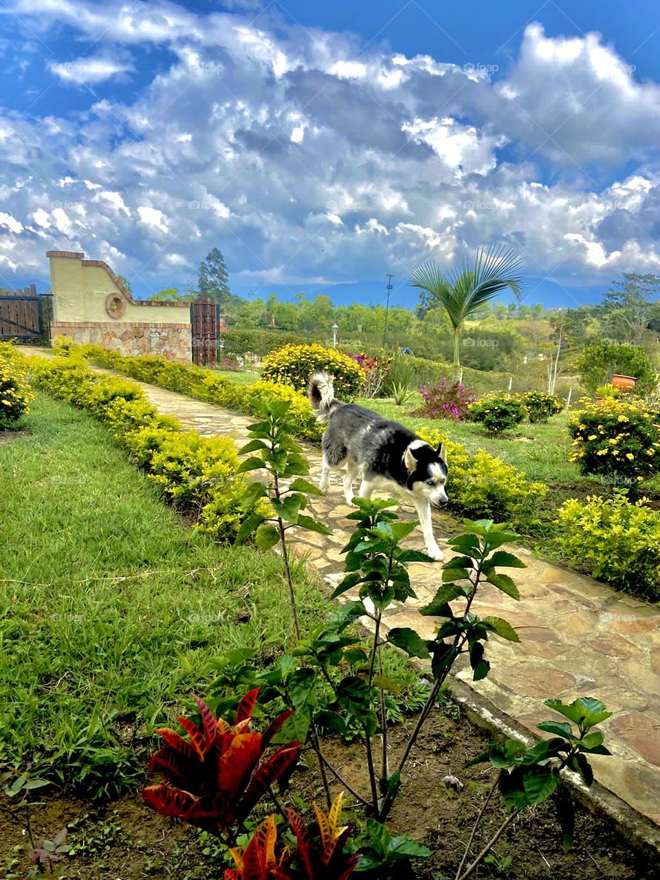 Paisaje Campestre 