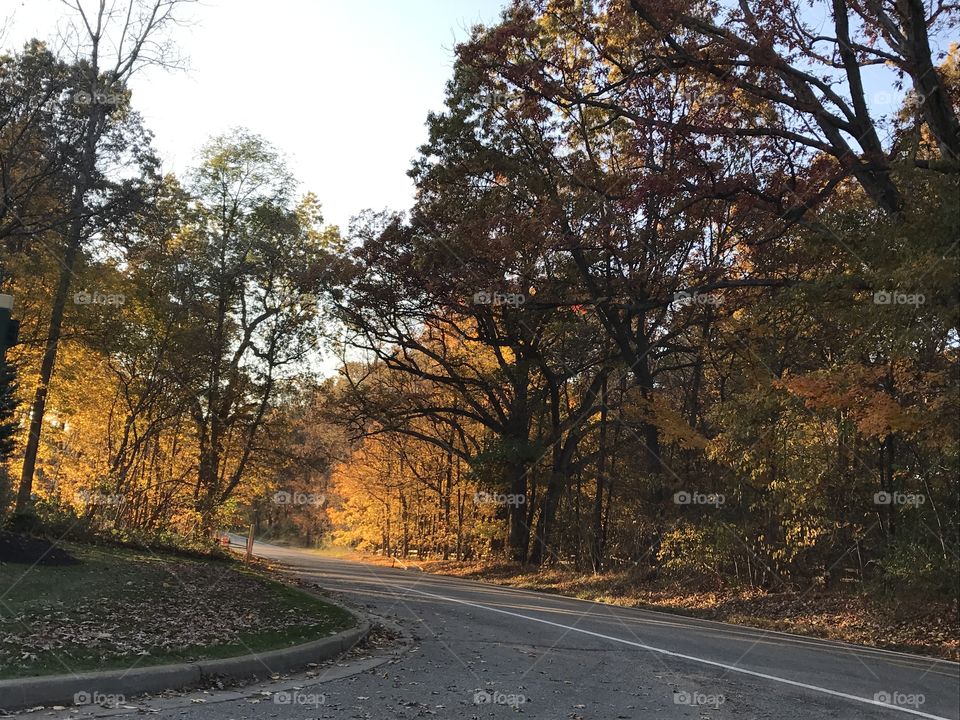 Scenic Fall drive