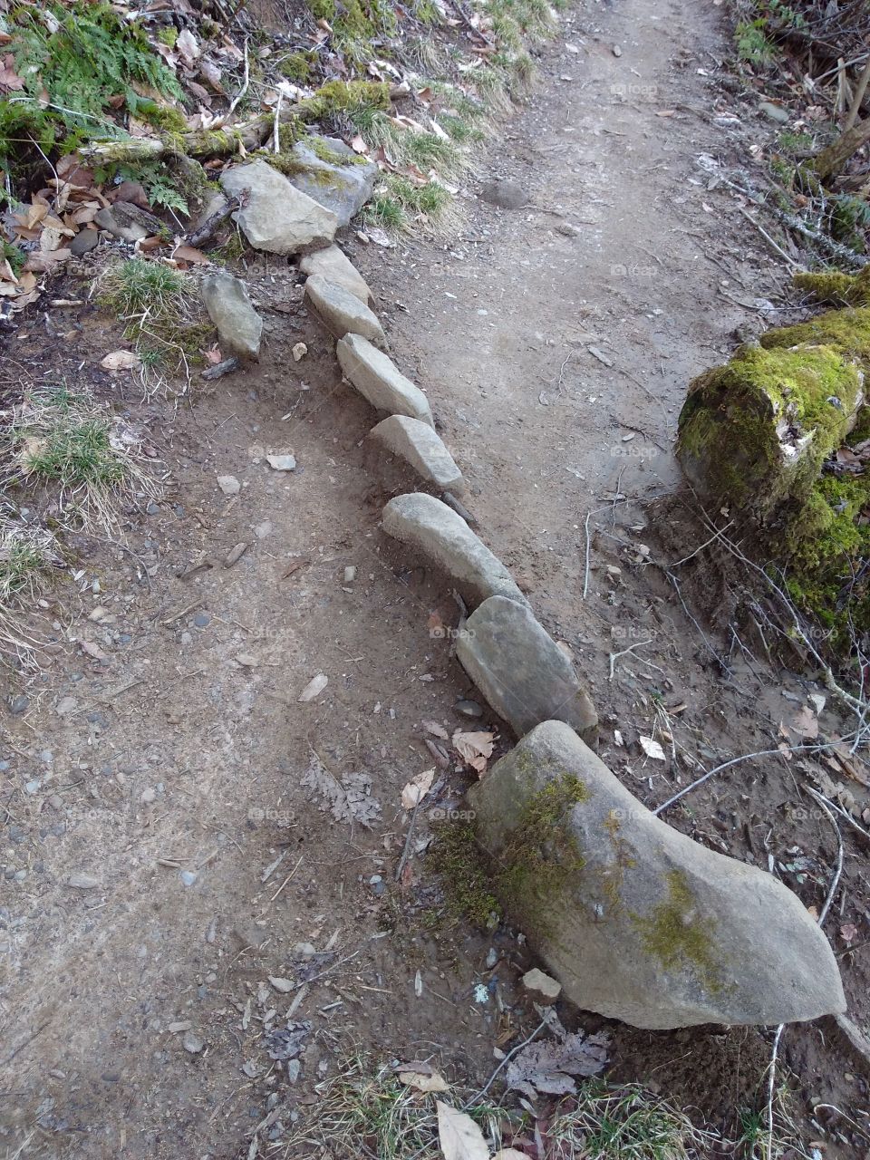 Rocks In The Trail