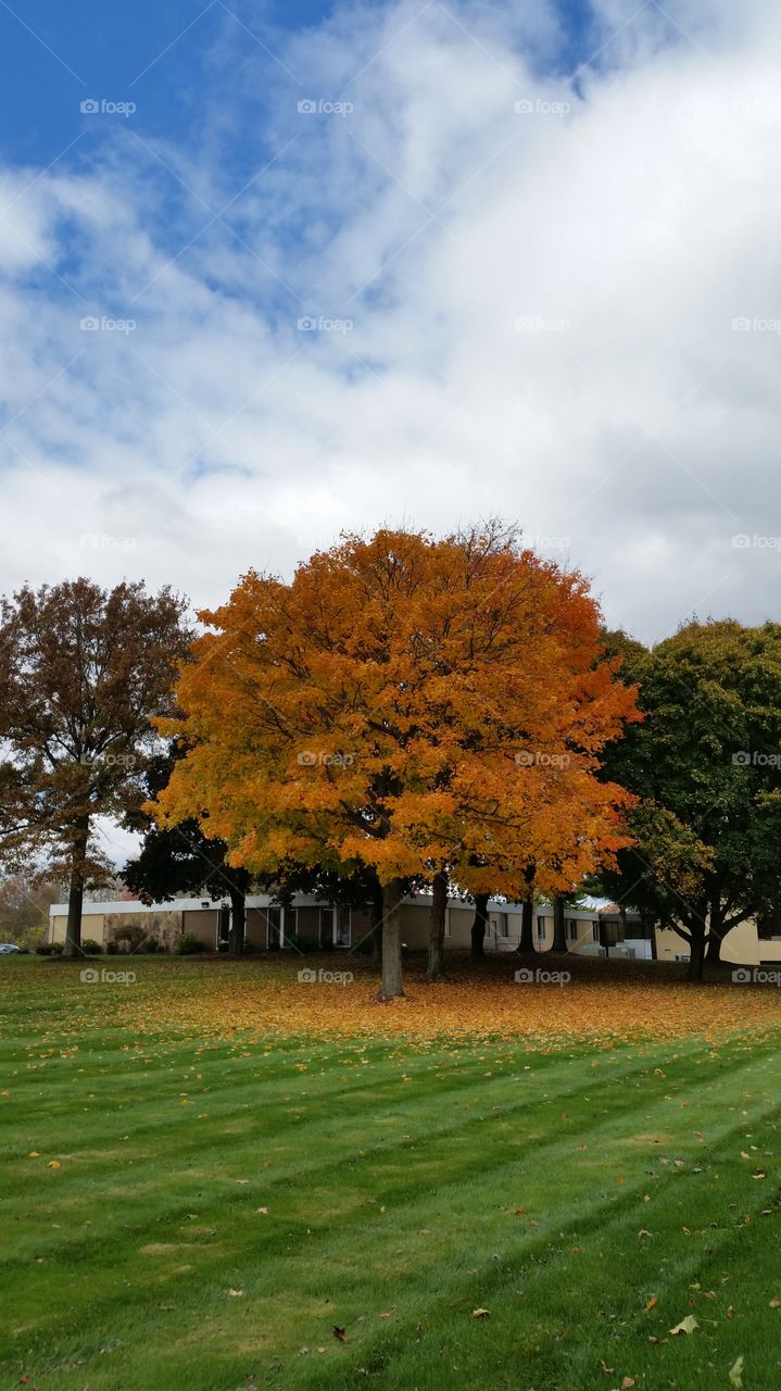 Autumn in ohio