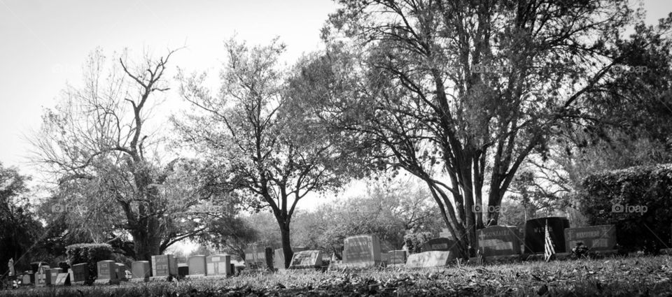 San Fernando Cemetery 