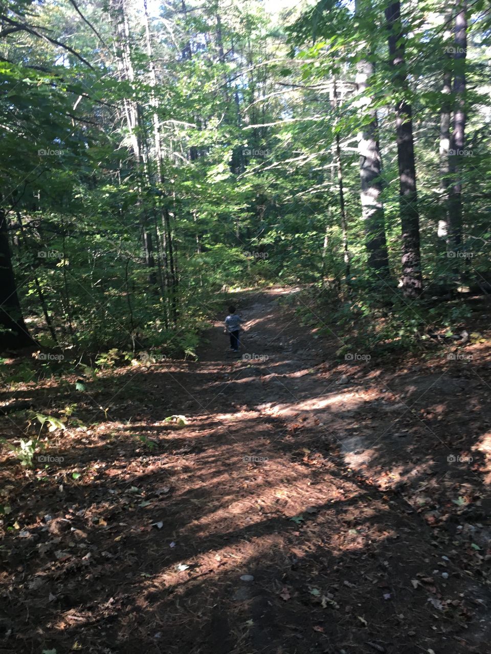 Into the woods he goes 