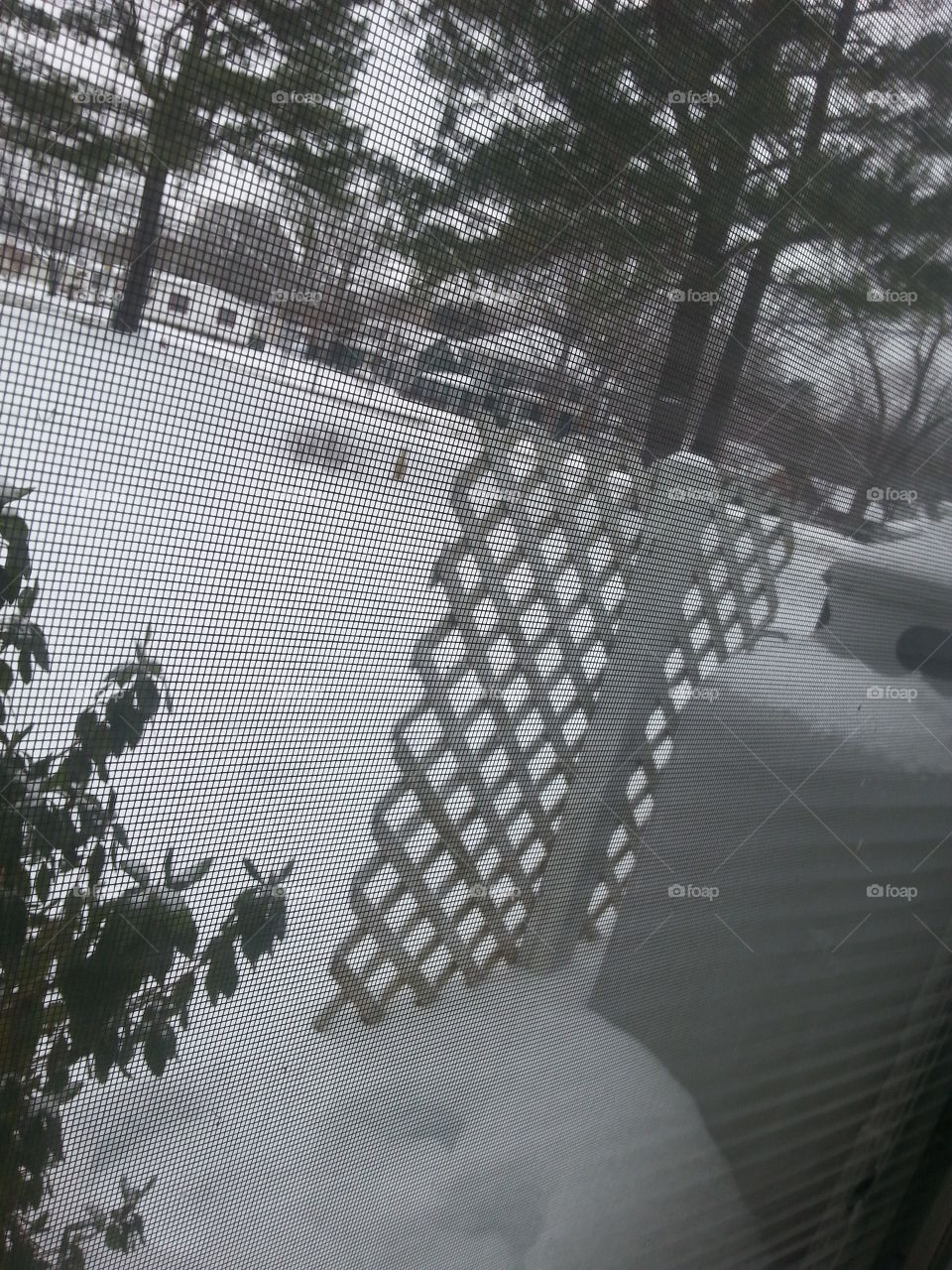 winter window screen