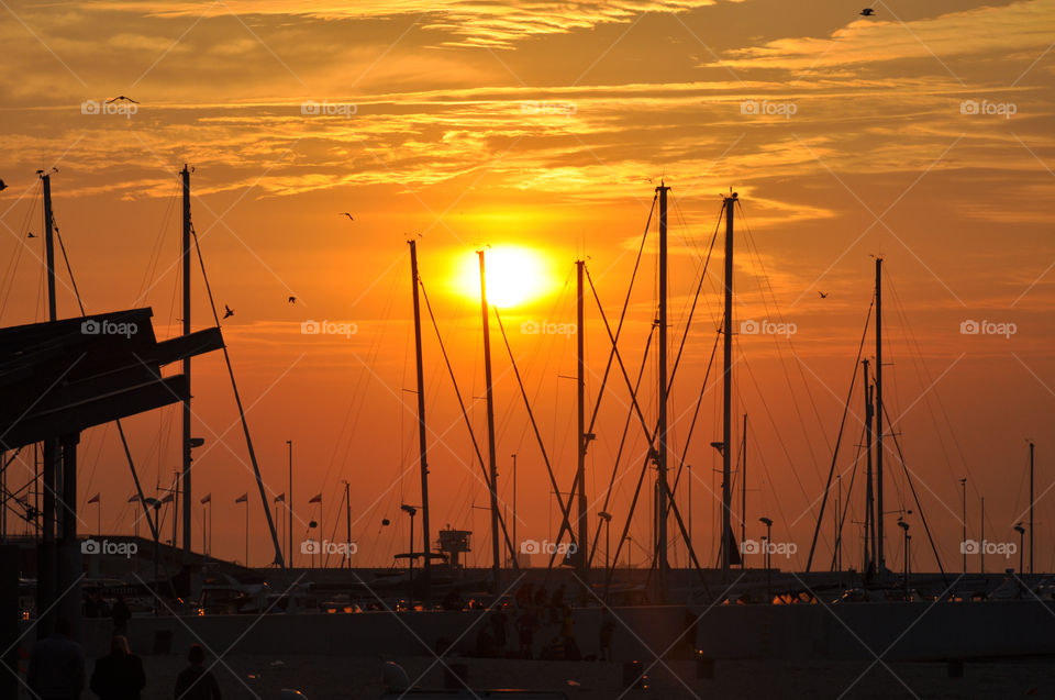 sunrise silhouette of the yachts