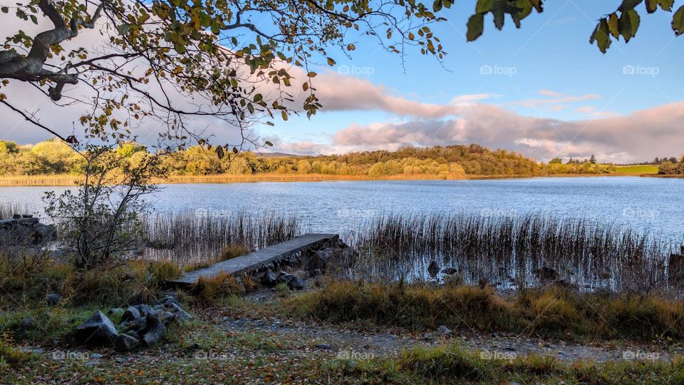 Autumn lakeside landscape scenery of Ross lake, Galway, Ireland