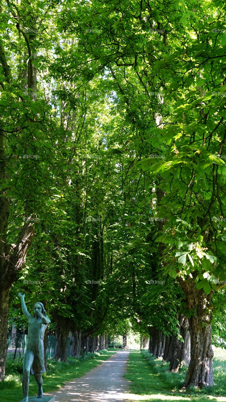 A day in spring in a park in Antwerp