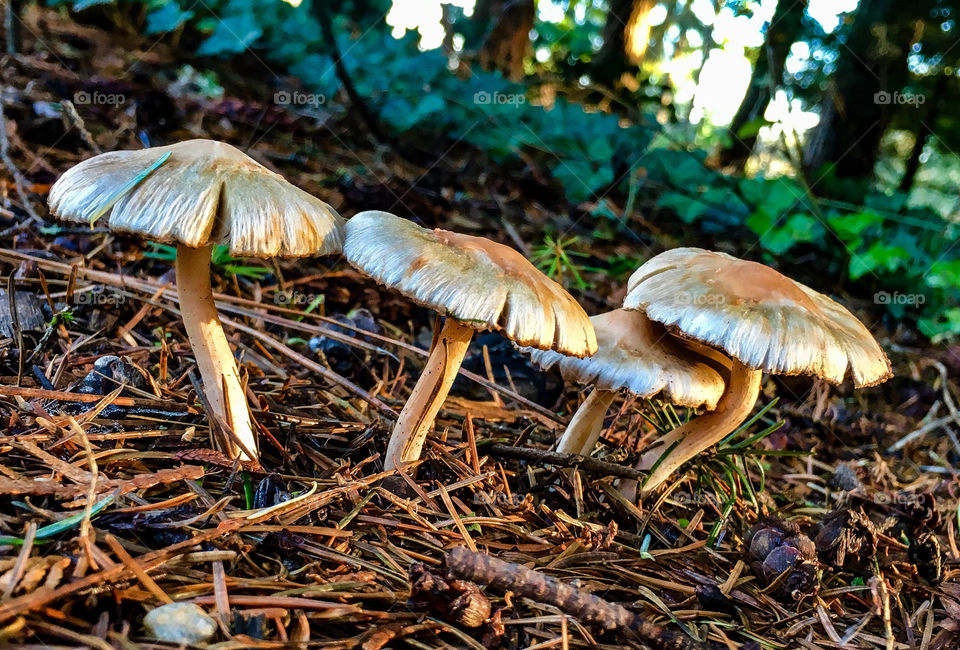 And Then There Were 4