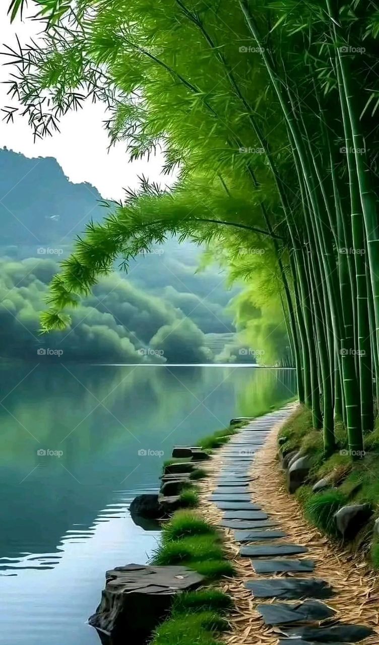 A very beautiful picture, and there is no better picture than it. There is no better picture of green herbs and colorful, red and white roses than it. Glory be to God, the natural and picturesque view, and there is no more