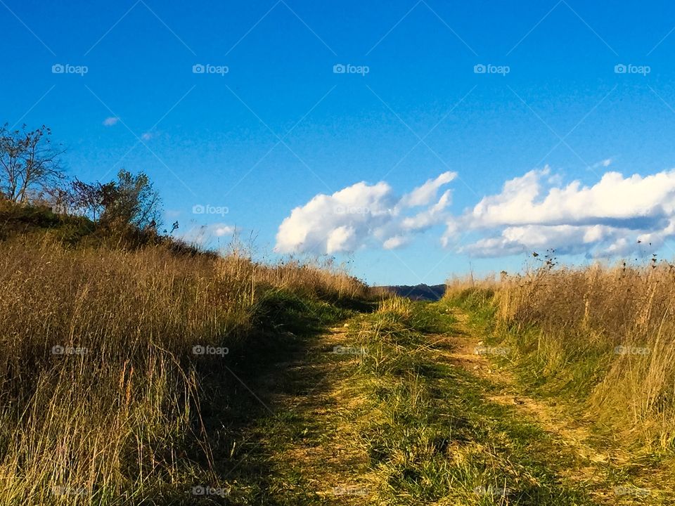 Path to Heaven?. Path to Virginia heaven?