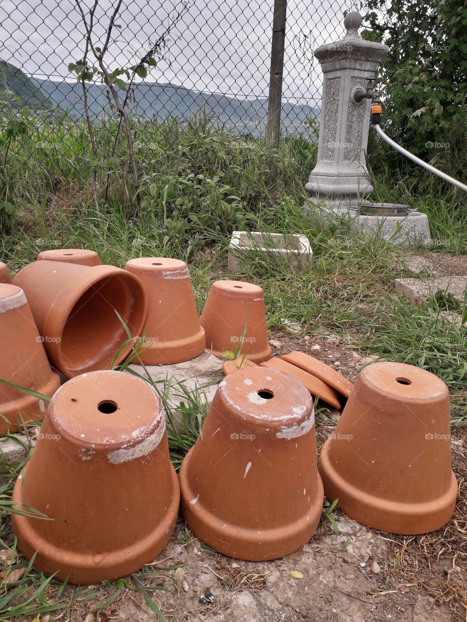 terracotta flower pots