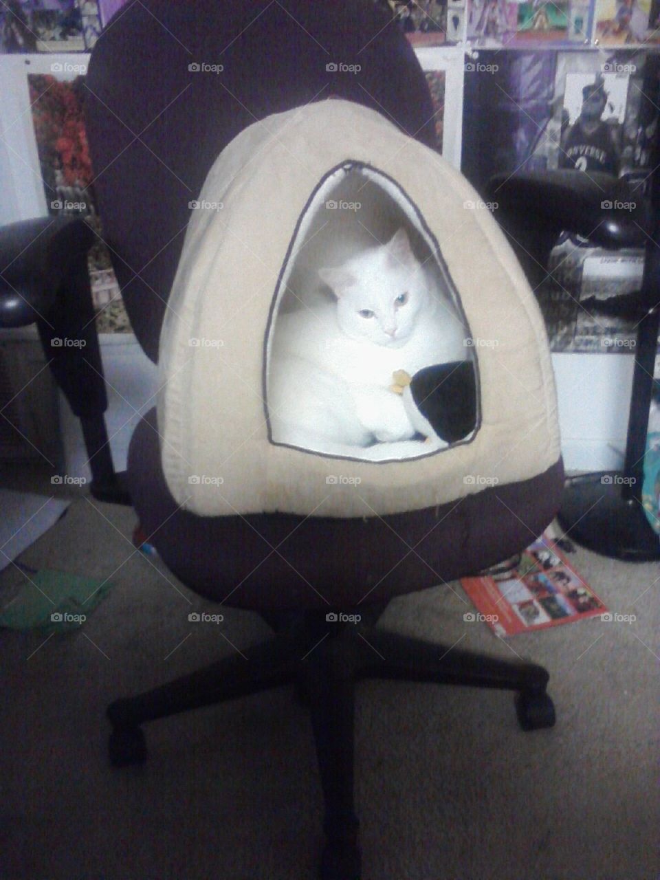Korin, sitting in his house