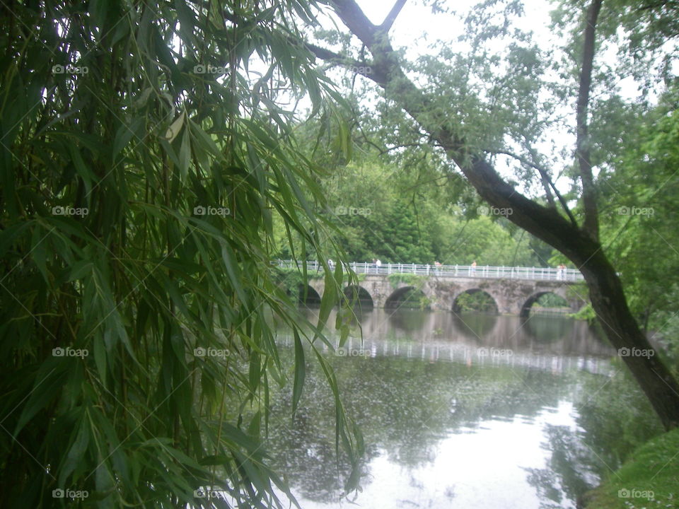 the bridge. taken in brugges 2009