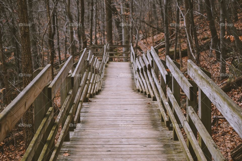 Park bridge