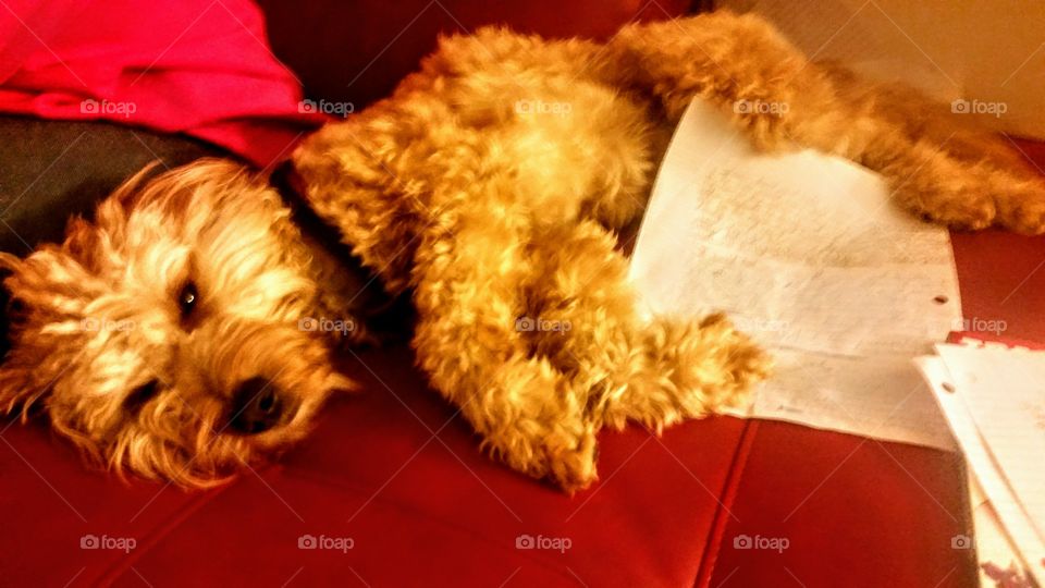 learning on a whole different level