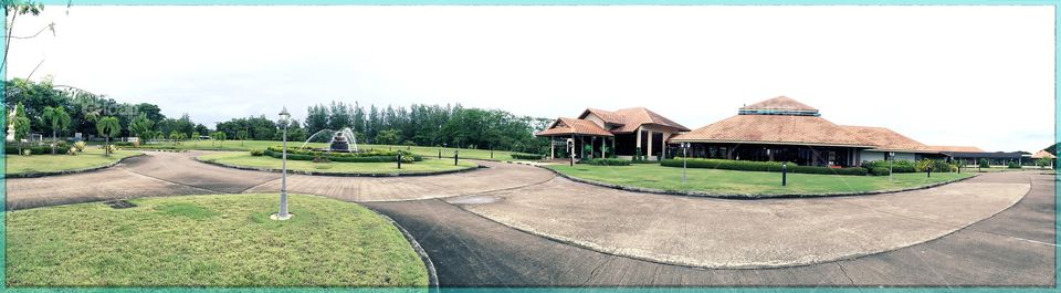 green nature in resort. panorama view , green nature in resort