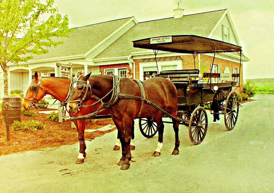  Wagon Ride