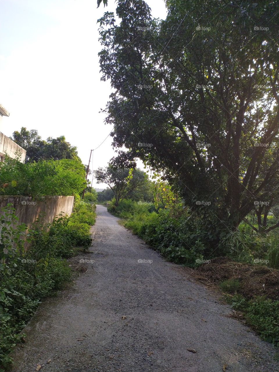 A silent country road inviting you to have a leisurely stroll