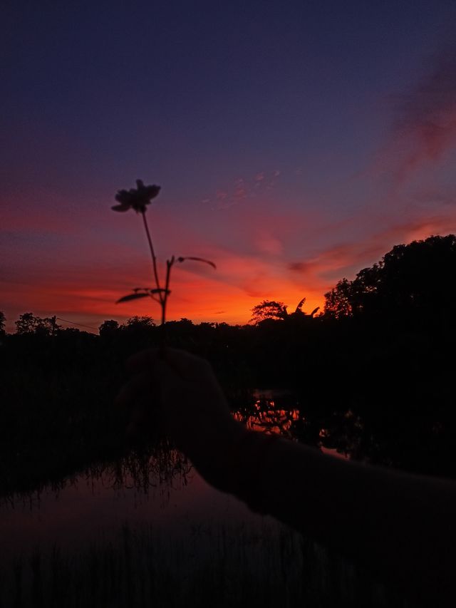 beautiful scenary of sunset