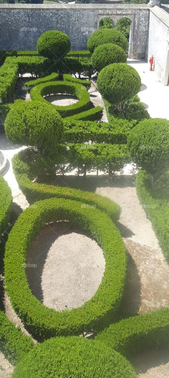 garden in the royal palace of Sintra