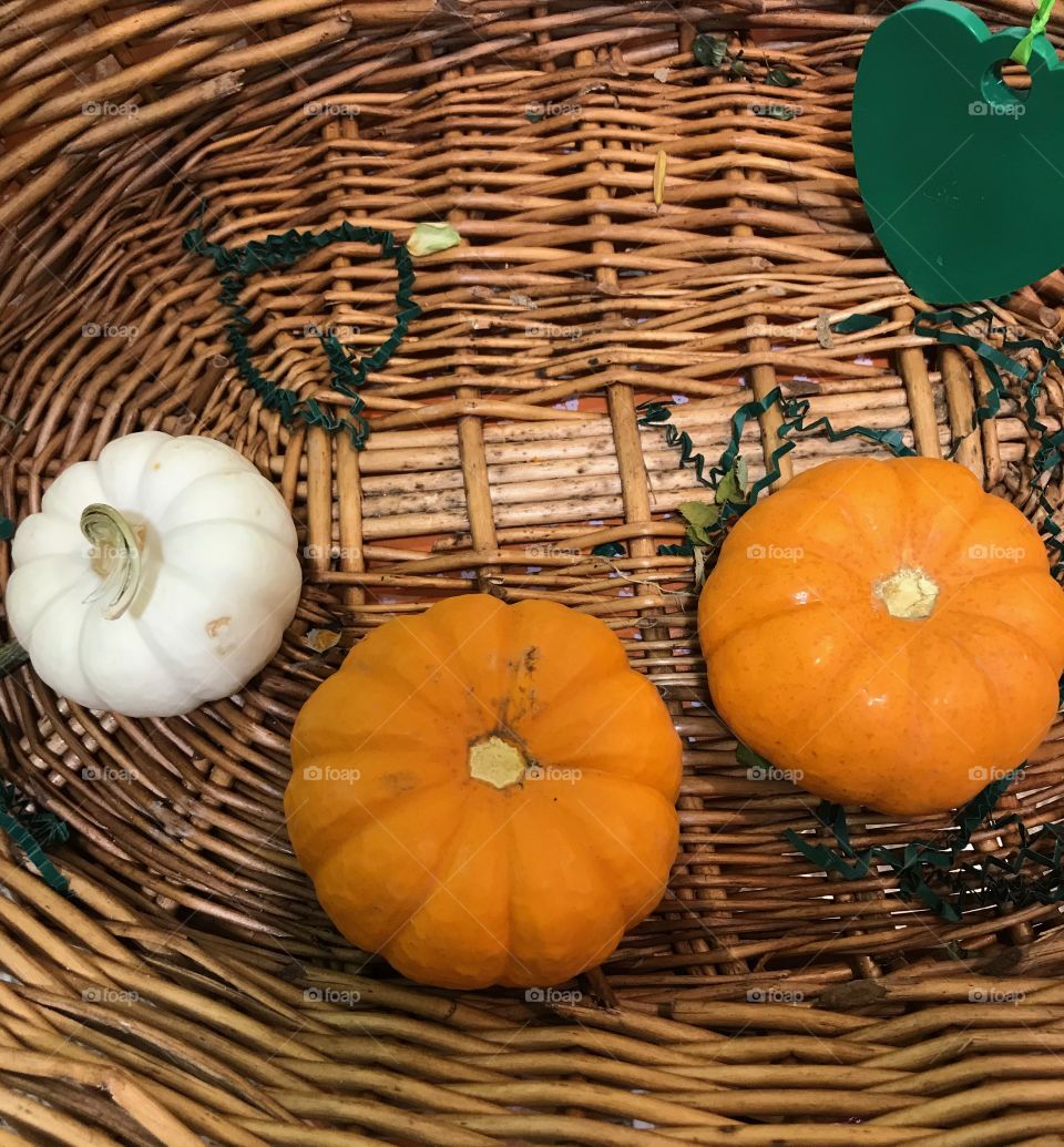 Little pumpkins 