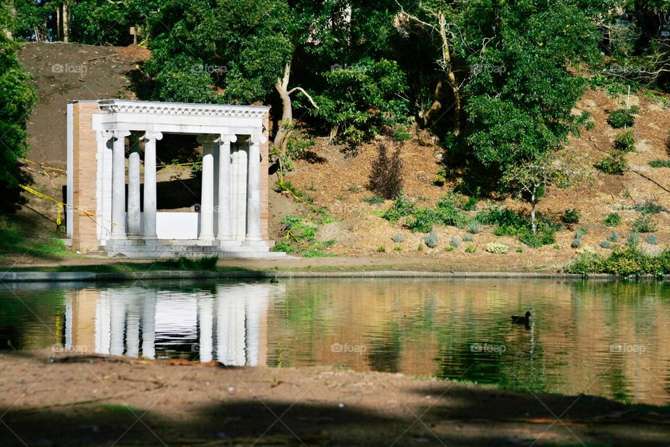 Pond in Park