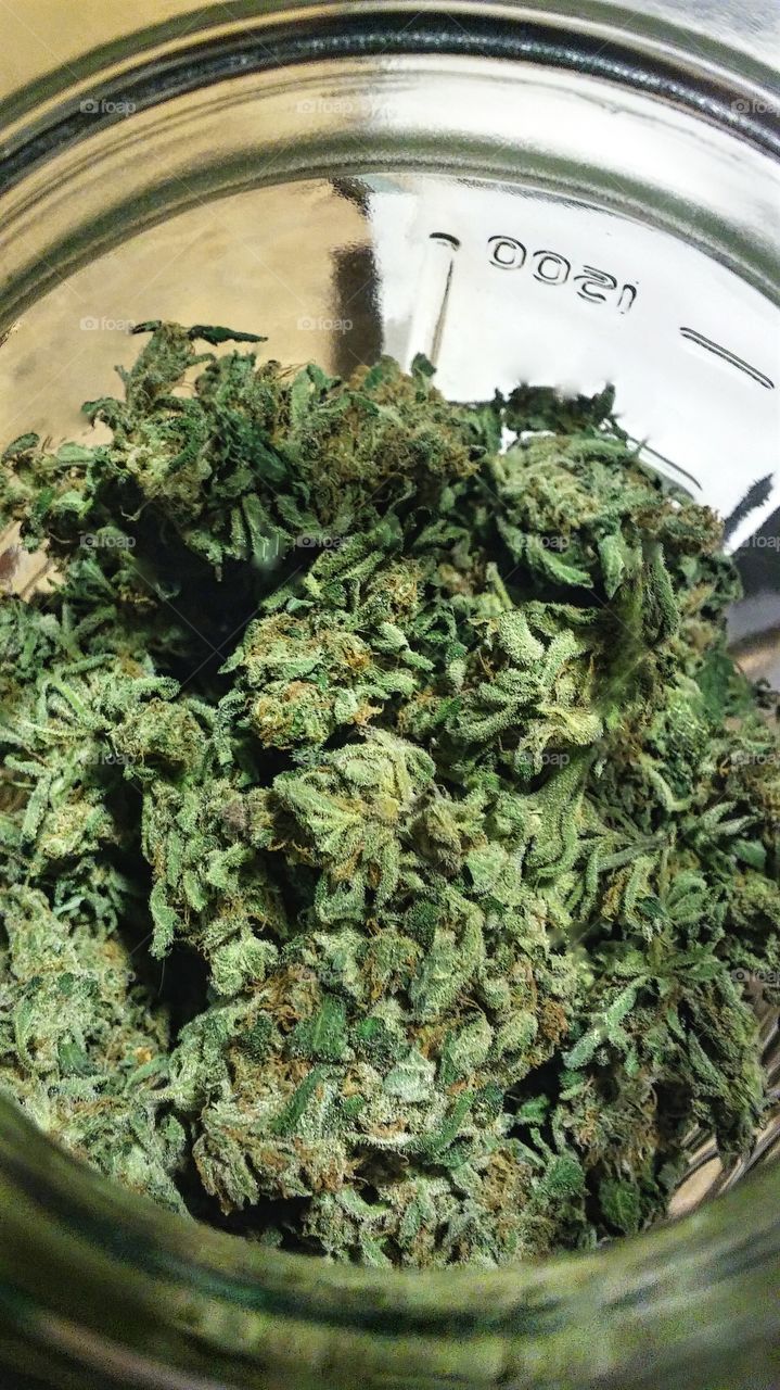 For Novelty Use Only