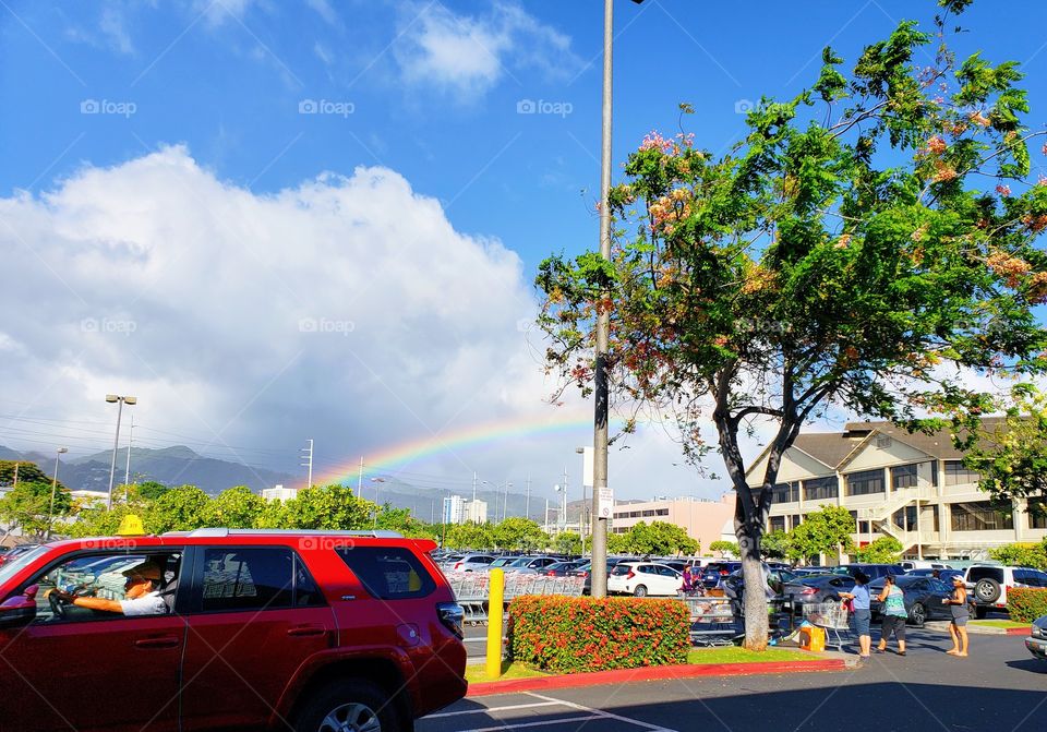 Hawaii Rainbow