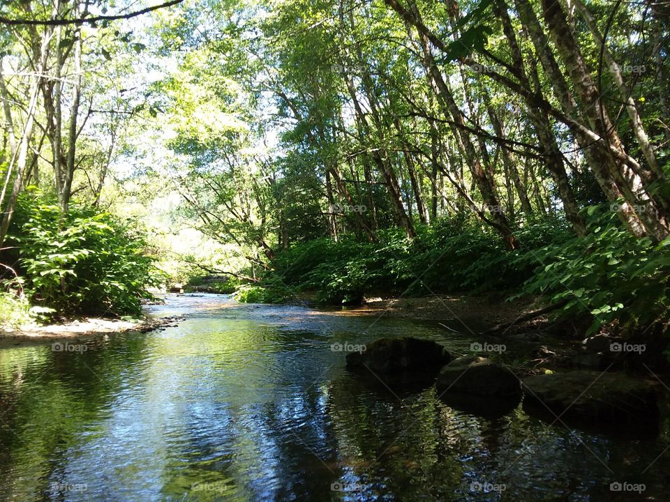 one of Oregon's trails