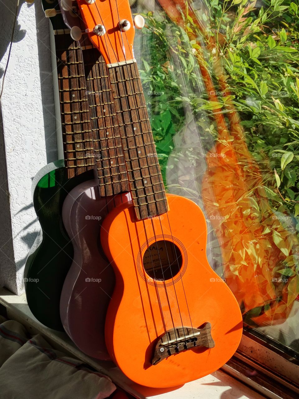 Guitars At Home. Three Guitars In A Sunny Window
