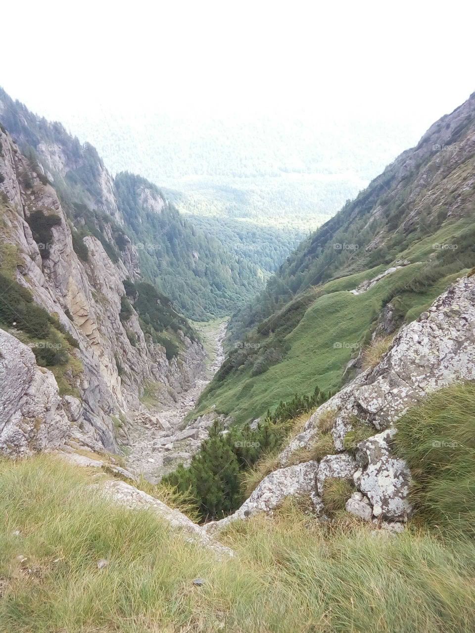 Valea albă, România