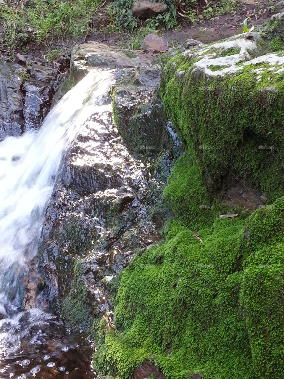 mother nature at her best