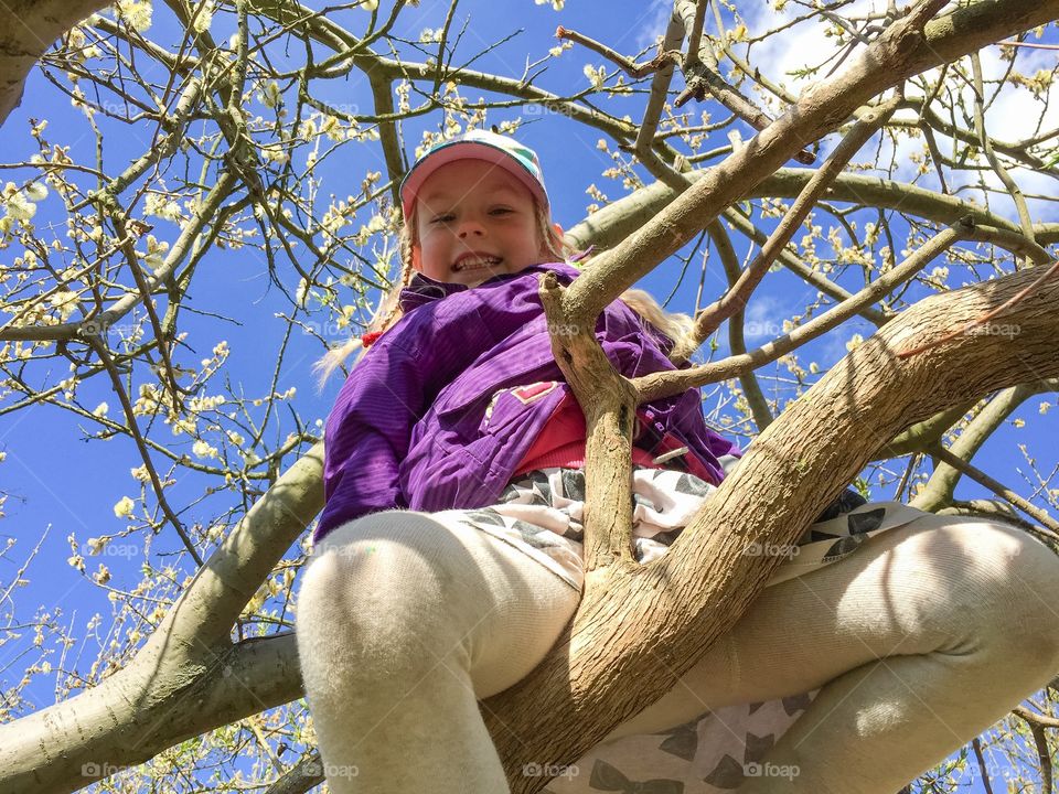 Little girl of five years old is climbing the tree in Malmö Sweden.