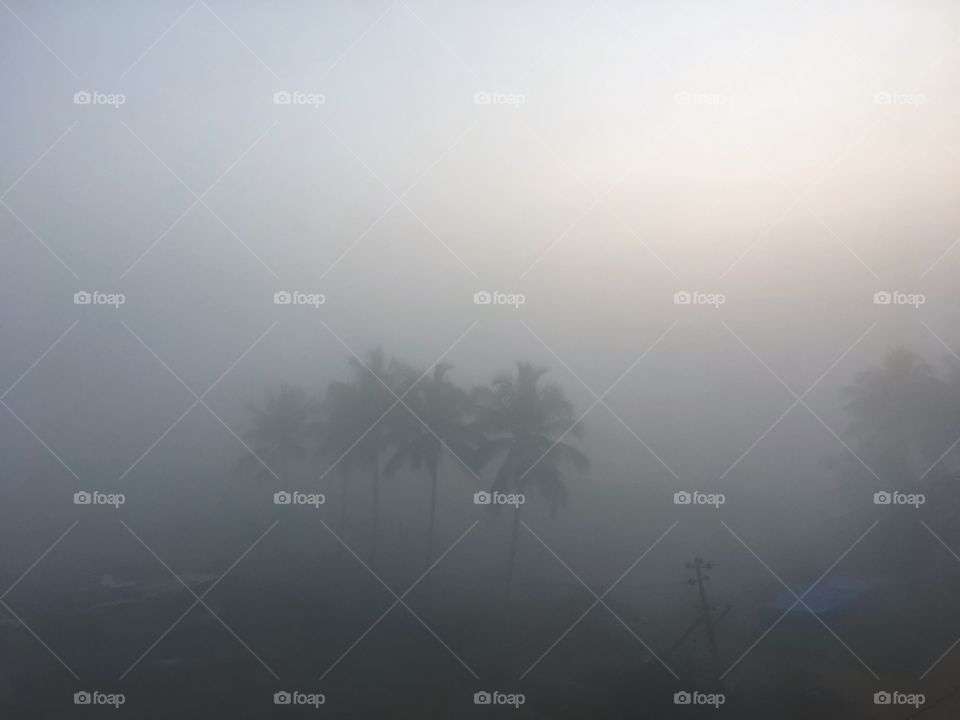 Foggy morning