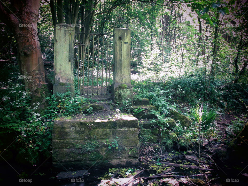 Wandering through Meanwood Valley Trail, I came across this gate, unbounded by walls, simply sitting beside the river.