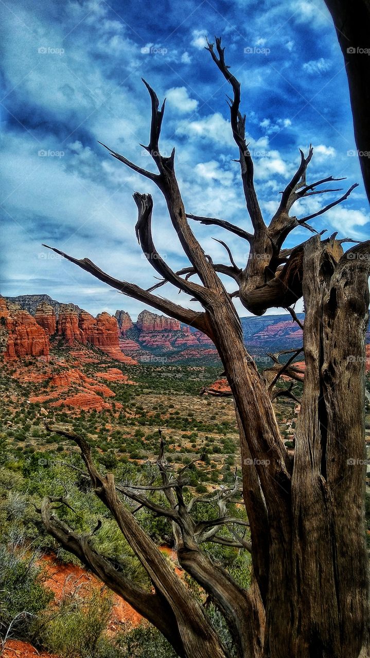 Sedona Arizona