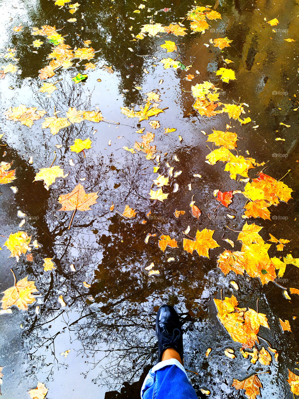 Puddles and reflection