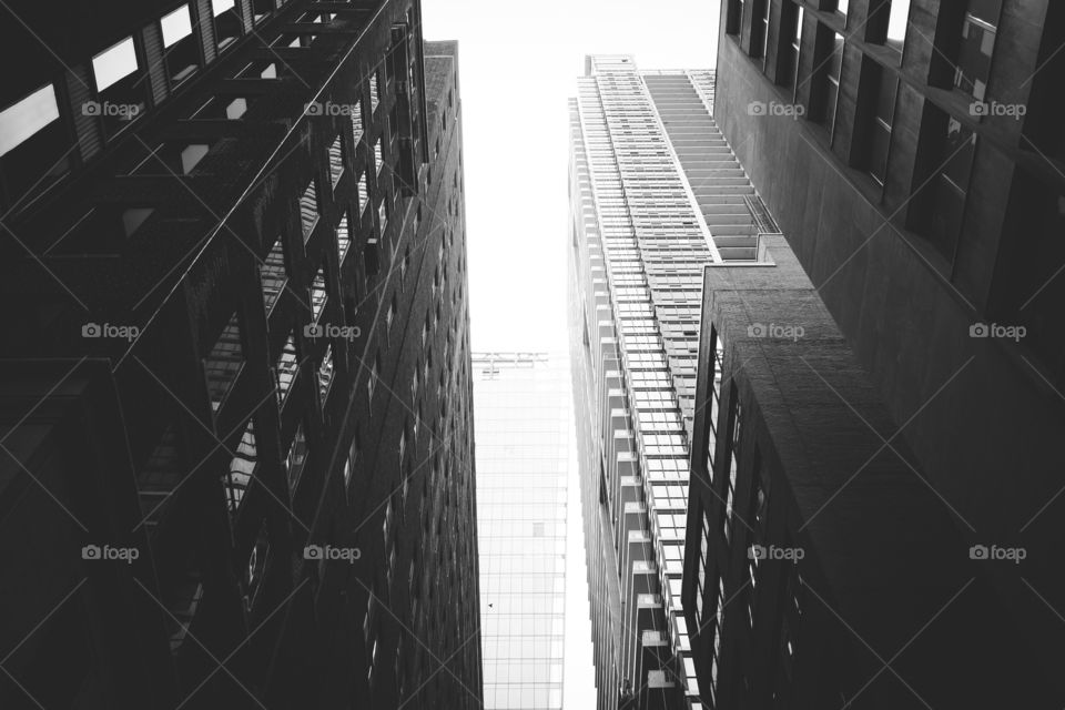 Tall buildings in downtown