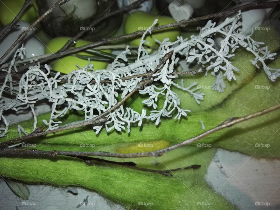 white on green