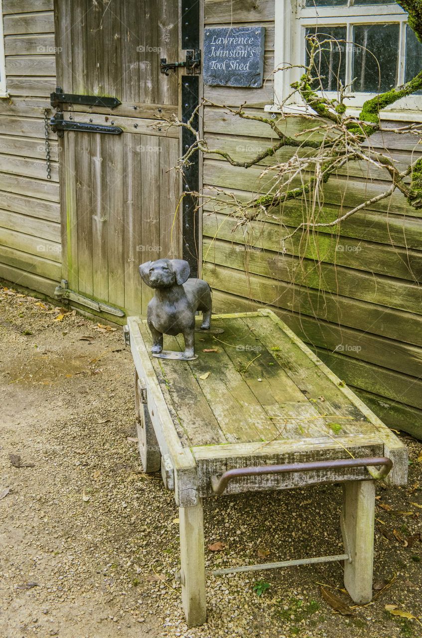 She'd. Potting shed 